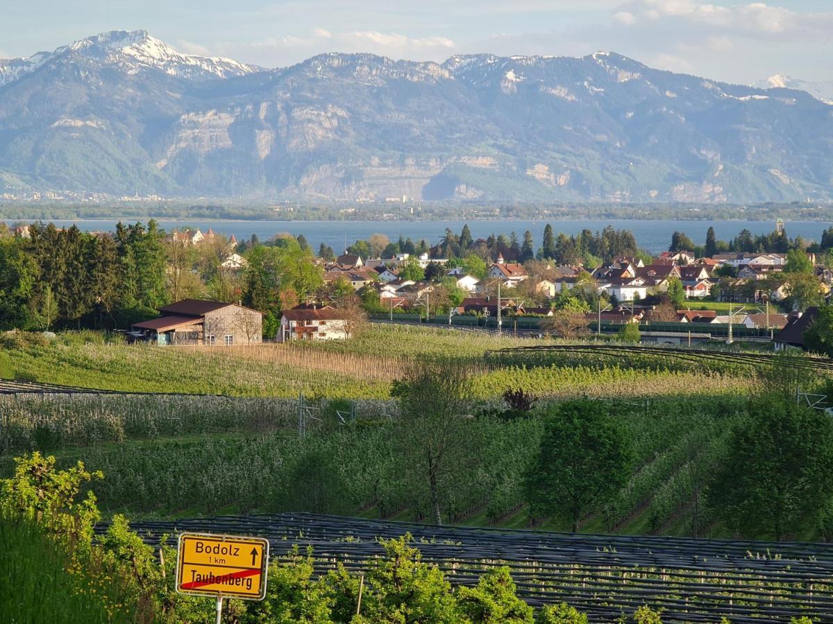Apartmán Alpenblick 1 Bodolz Exteriér fotografie